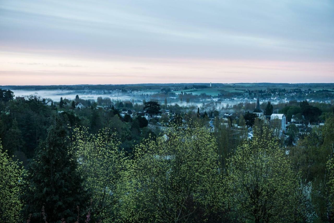 Studio De Charme Au Coeur D'Un Parc Монришар Экстерьер фото